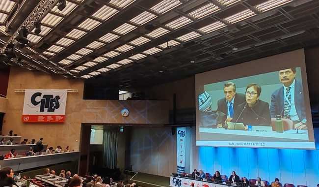 post_Informe_de_M_xico_ante_CITES_060225