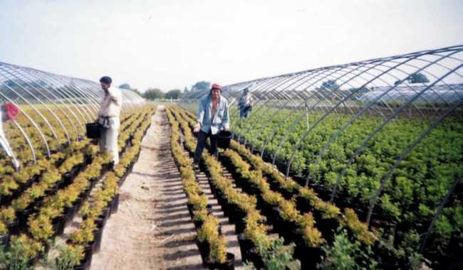 homenaje-a-los-antropologos