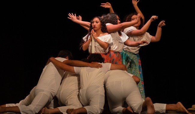 sus-Tiempos-de-Cosecha