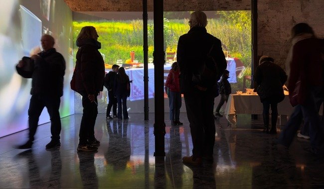 videoinstalacion-del-artista