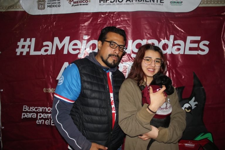 adopcion-de-mascotas